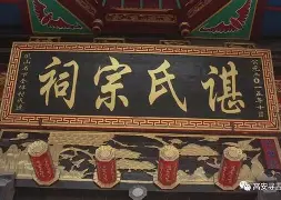 谌龙携手姚迪战意甲引热议(李宗伟评价谌龙)