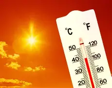 关于热传：字母哥将于8月16日打的信息